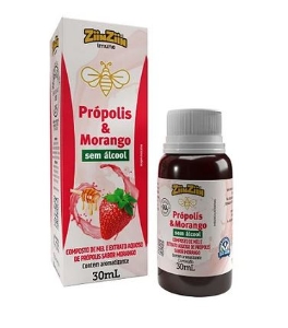 ZIINZIIN EXTRATO DE PROPOLIS E MORANGO AQ...